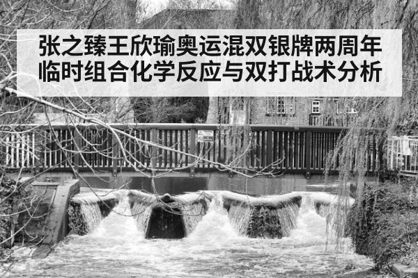 张之臻王欣瑜奥运混双银牌两周年 临时组合化学反应与双打战术分析（ayx）